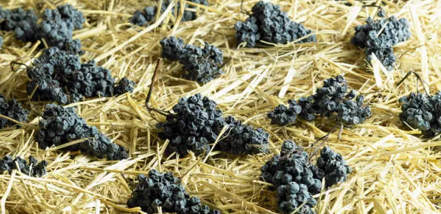 葡萄酒糖分越高，酒精度就越低？