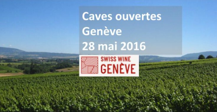 關(guān)于瑞士葡萄酒的17個事實(shí)