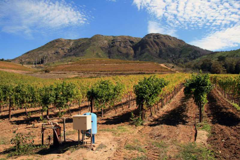 開(kāi)普敦水荒，南非葡萄酒何去何從